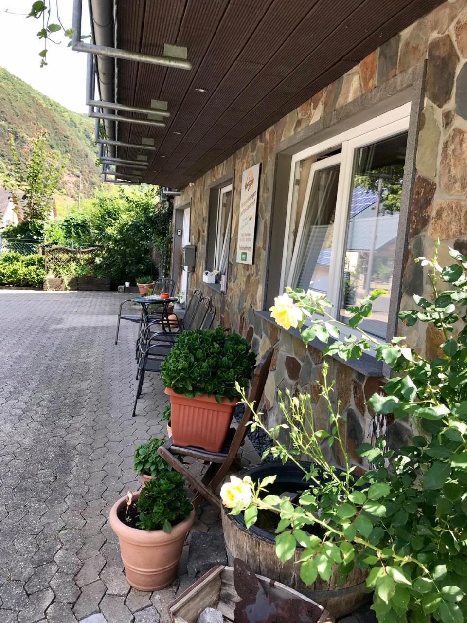 Residenz Moselzauber - Ferienwohnungen Mit Pool Landschaft Ernst Exterior foto